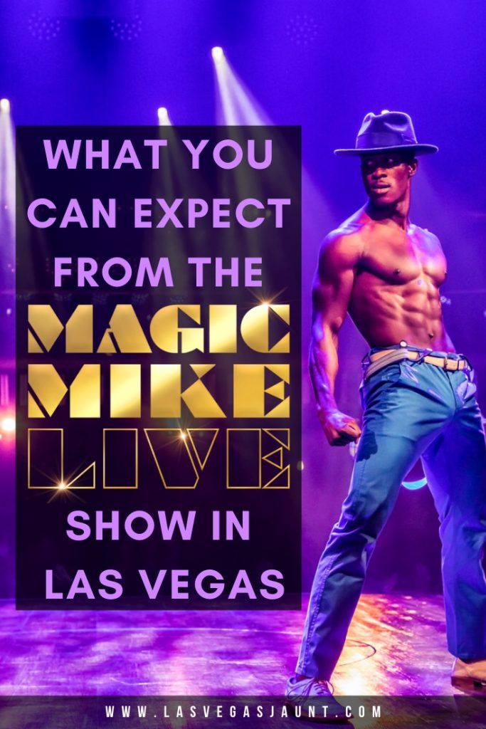 What You Can Expect From the Magic Mike Live Show